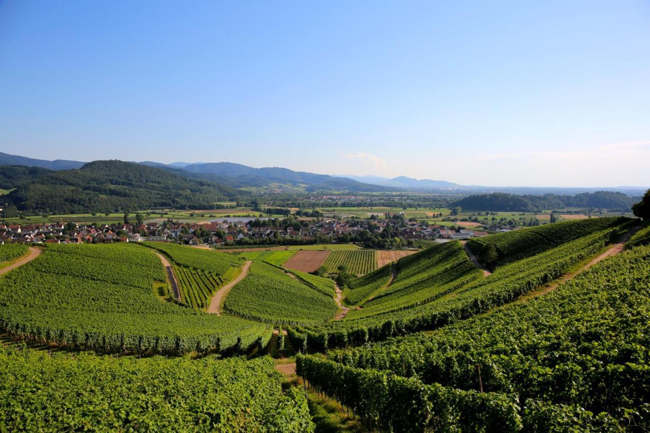 Annas Stube - Boutique Design Bauernhof Villa Waldkirch Eksteriør billede
